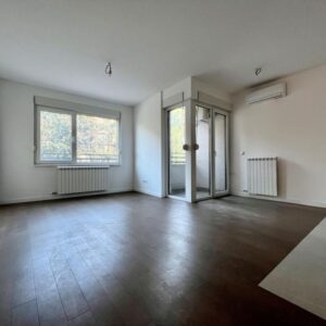 Novogradnja u Ustaničkoj ulici 4.0 stan, u blizini parka Šumice