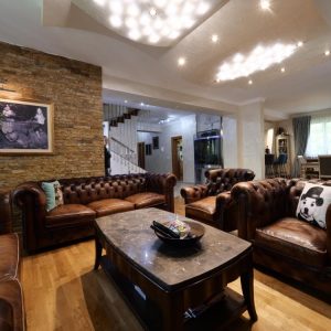 Luksuzan stan na Dedinju