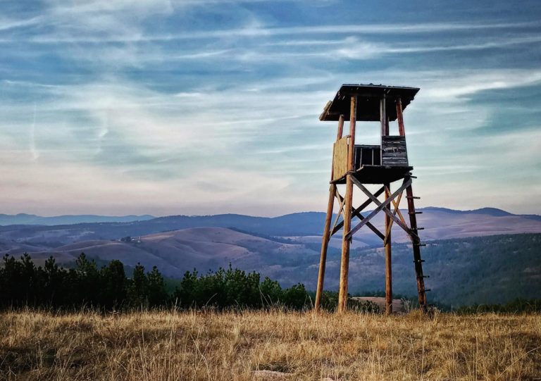 Golden Panorama Mapa72329