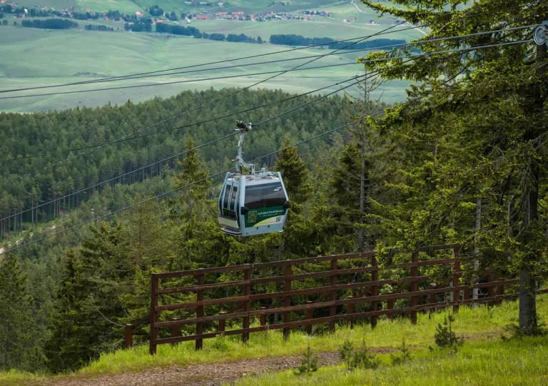 Golden Panorama Mapapexels-miljan-25515673.jpg